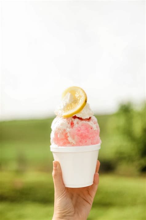 luna's shaved ice